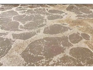 廢水處理中常用的氧化劑和還原劑有哪些？
